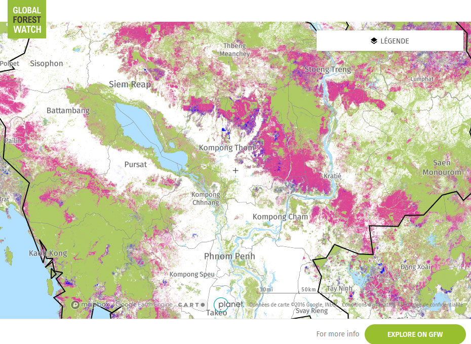 Global Forest Watch Map Cambodia