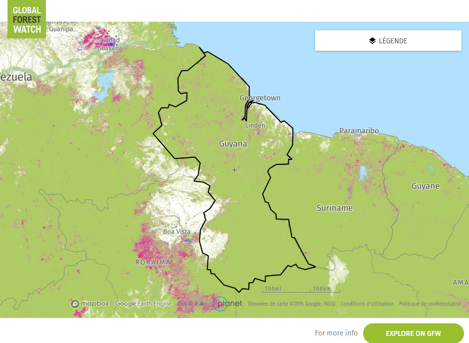 Global Forest Watch Map Guyana