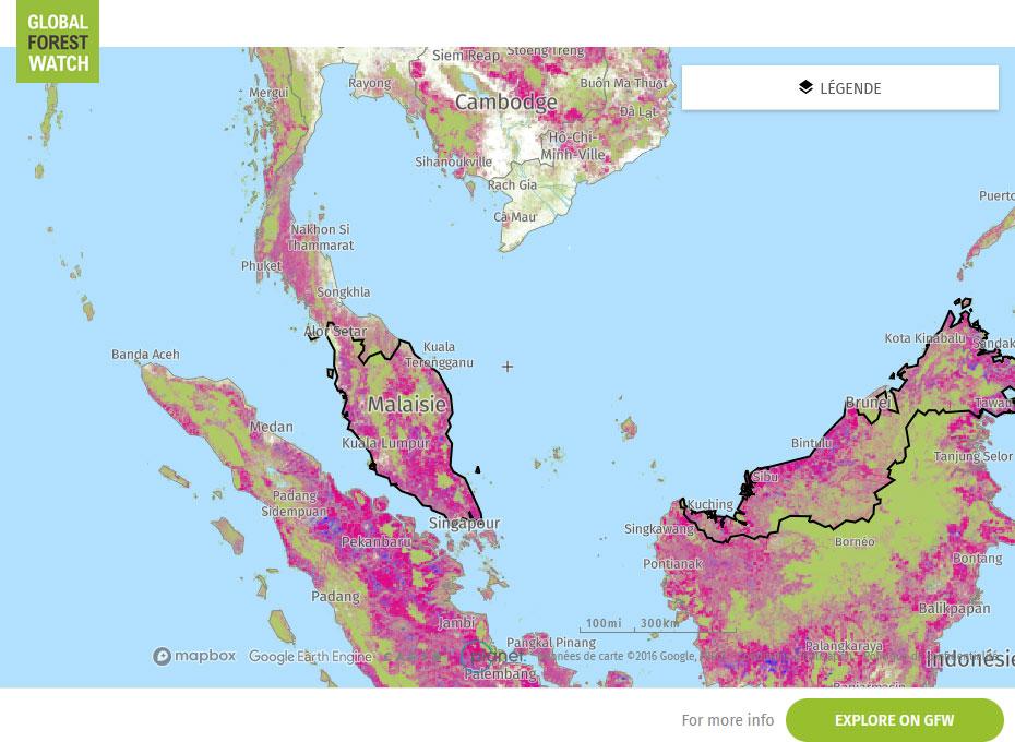 Global Forest Watch Map Malaysia
