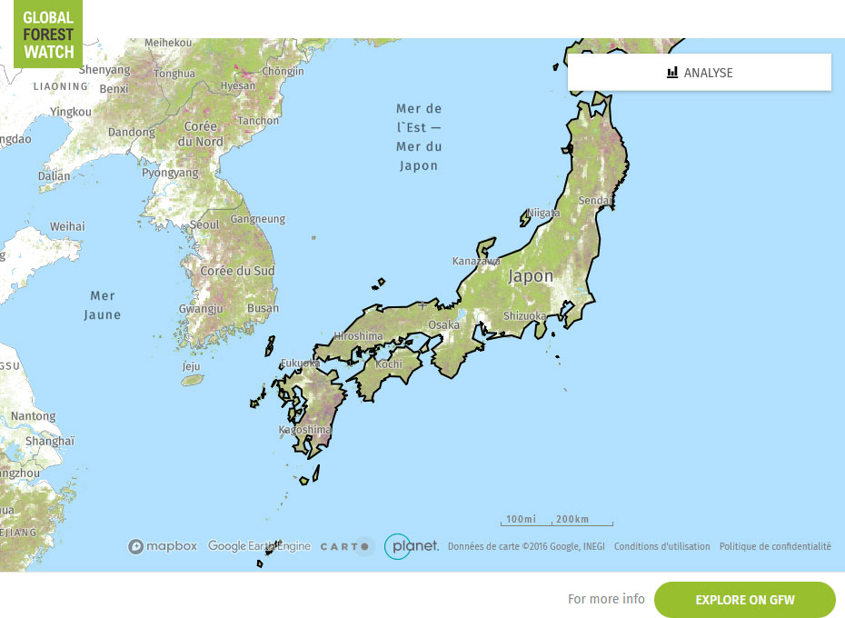 Global Forest Watch Map Japan