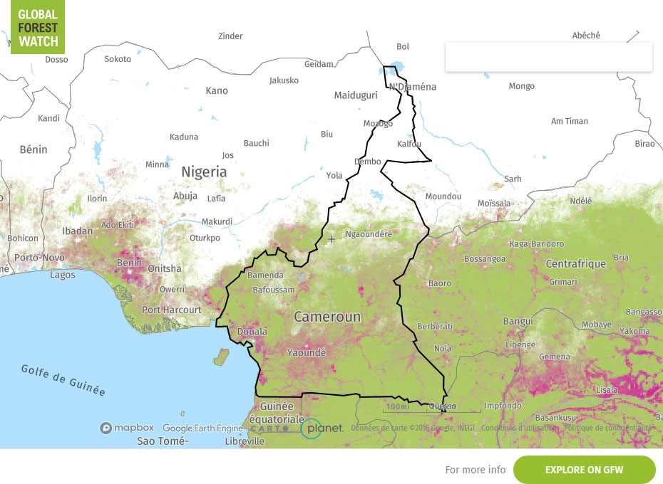 Global Forest Watch Map Cameroon