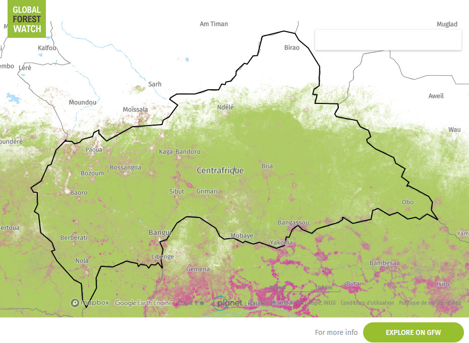 Global Forest Watch Map Central African Republic