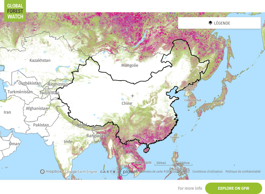 Global Forest Watch Map China