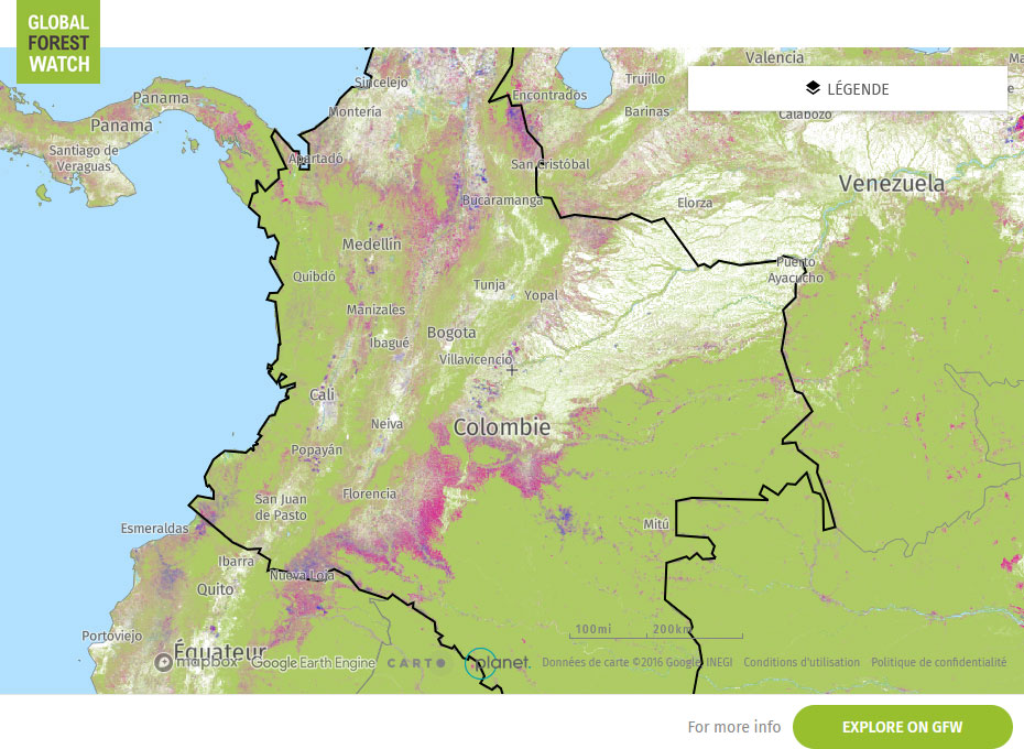 Global Forest Watch Map Colombia