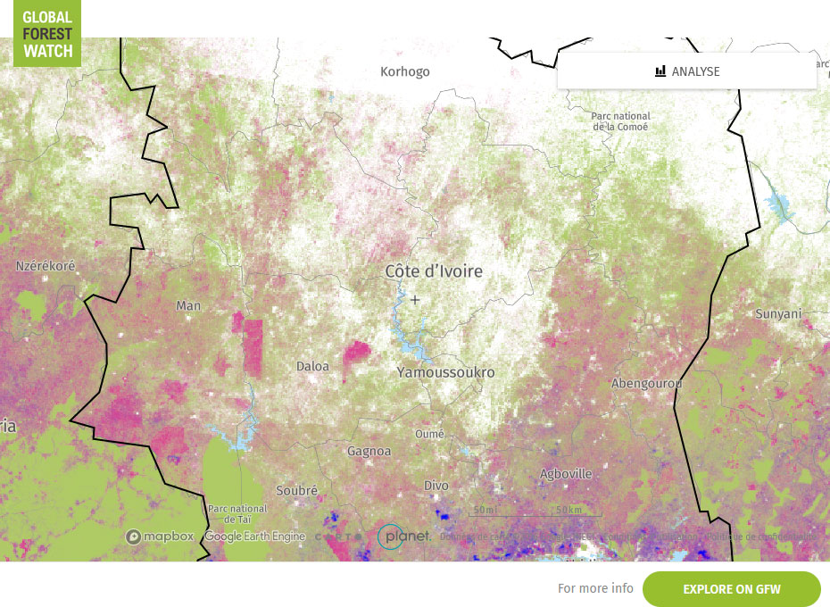 Global Forest Watch Map Côte d'Ivoire