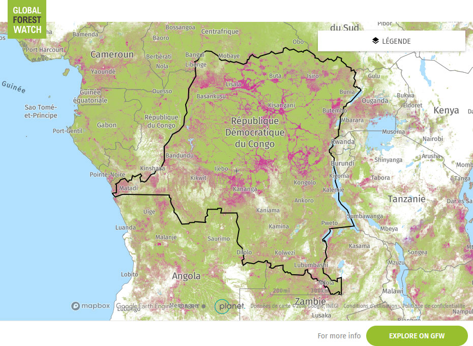 Global Forest Watch Map DRC