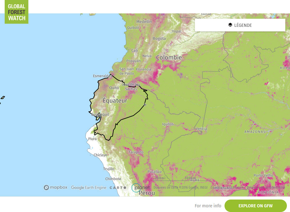 Global Forest Watch Map Ecuador