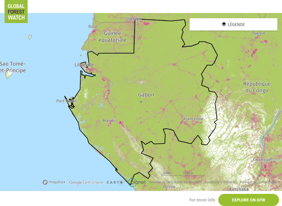 Global Forest Watch Map Gabon