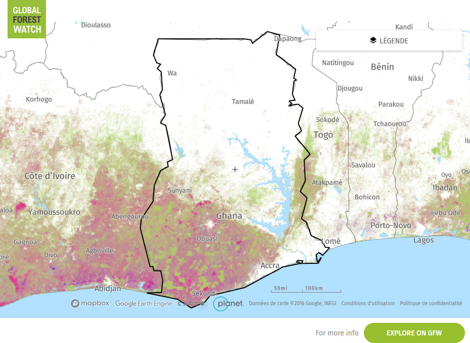 Global Forest Watch Map Ghana