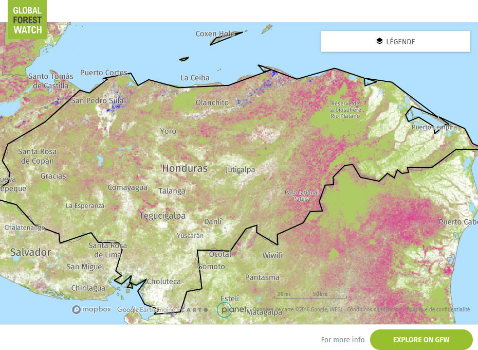 Global Forest Watch Map Honduras
