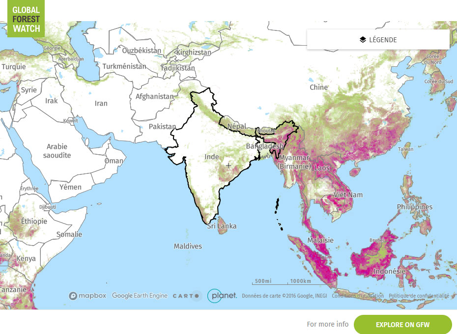 Global Forest Watch Map India
