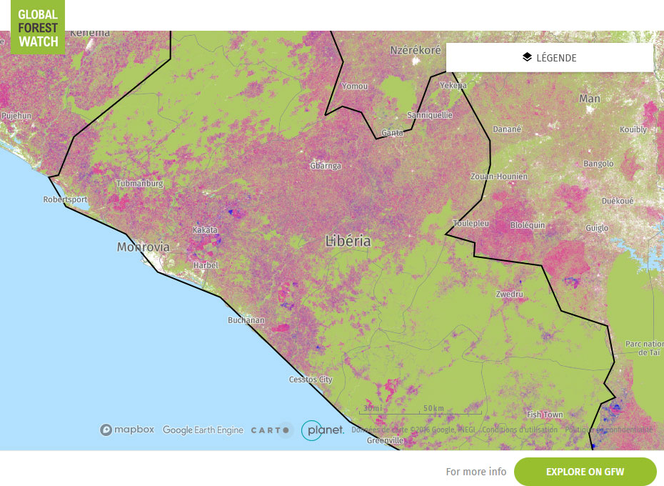 Global Forest Watch Map Liberia