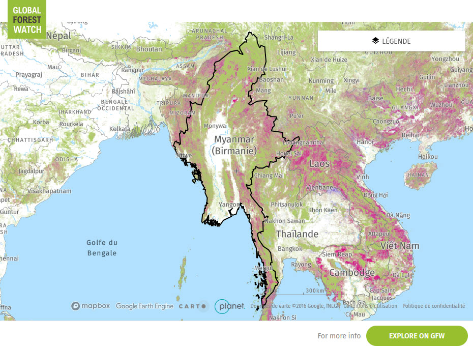 Global Forest Watch Map Myanmar