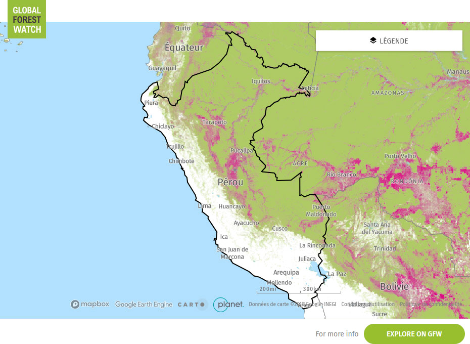 Global Forest Watch Map Peru