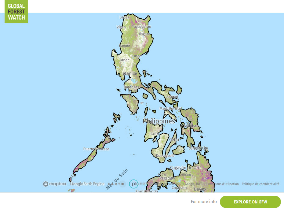 Global Forest Watch Map Philippines