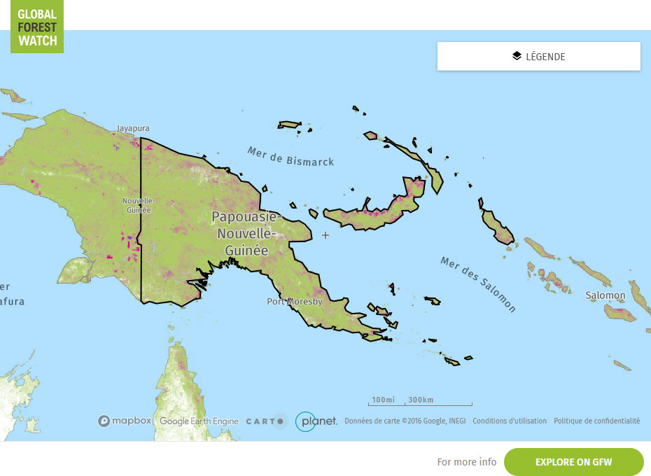 Global Forest Watch Map Papua New Guinea