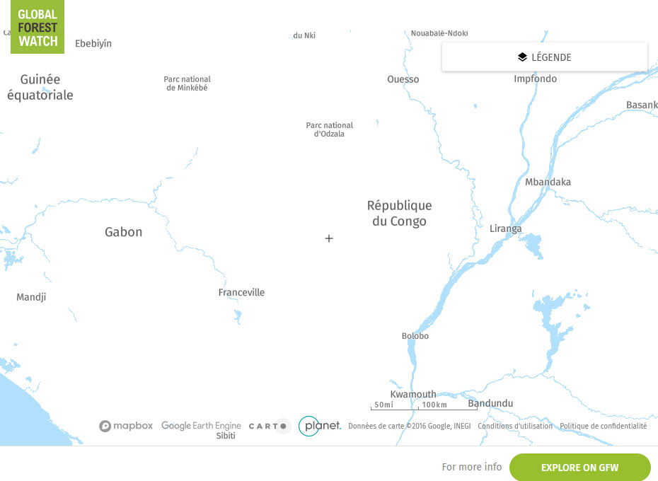 Global Forest Watch Map Republic of the Congo