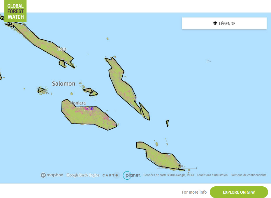 Global Forest Watch Map Solmon Islands