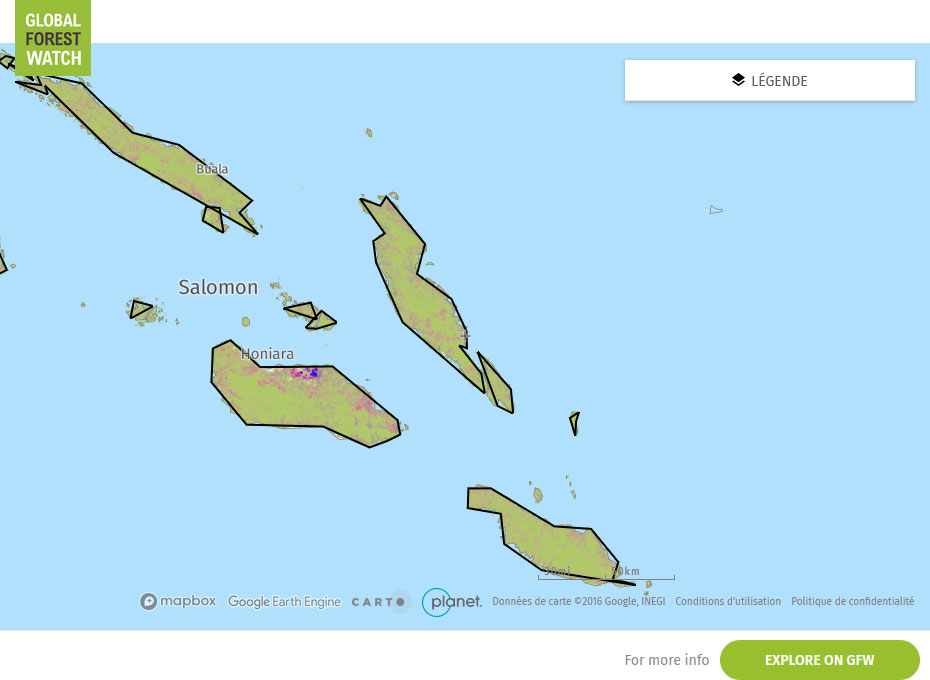 Carte Global Forest Watch Iles Salomon