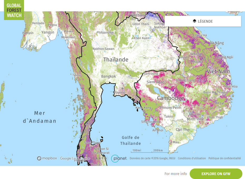 Global Forest Watch Map Thailand
