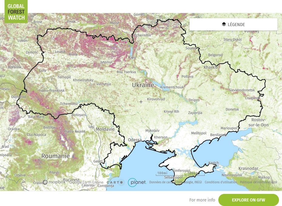 Global Forest Watch Map Ukraine