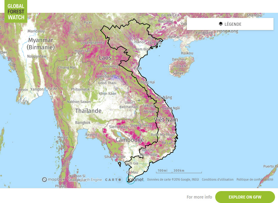 Global Forest Watch Map Viet Nam
