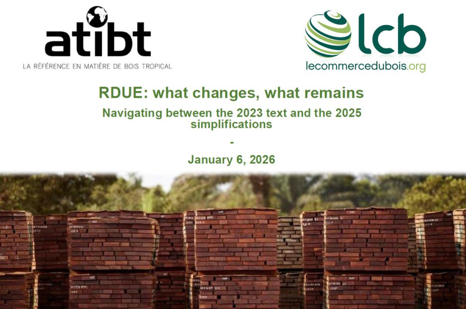 RDUE – Ateliers du 6 janvier : les membres font remonter leurs questions sur le règlement de simplification