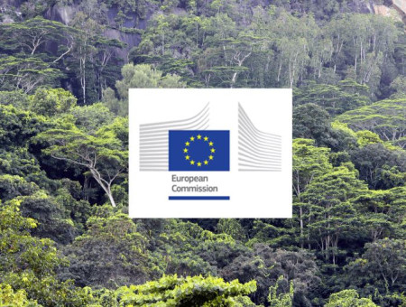EUDR: the European Parliament adopts the targeted revision of the Regulation and launches a stakeholder consultation