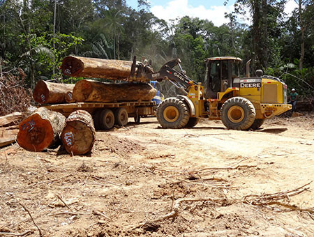 Peru works toward system that enables legal timber verification