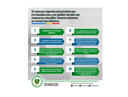 Possible suspension temporaire de l'exportation de bois en RDC