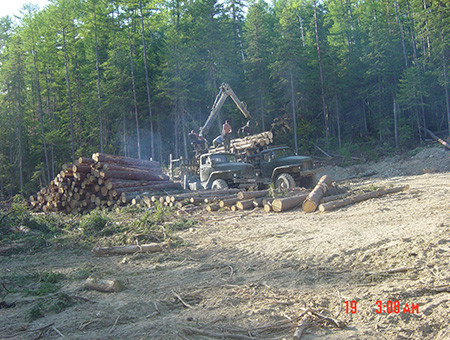 Loi russe - l’utilisation de matériel d’exploitation forestière 
