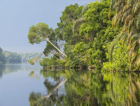 Australia Illegal Logging Prohibition Act